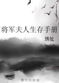 将军夫人生娃