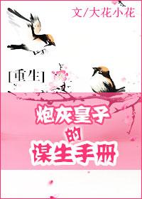 炮灰皇子的谋生手册没结束吗