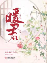 暖君闲听落花的全部作品