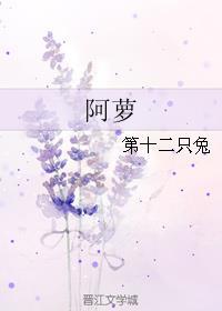 阿萝出行app