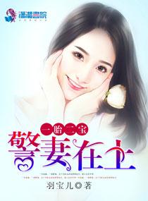 一胎二宝萌妻宠婚