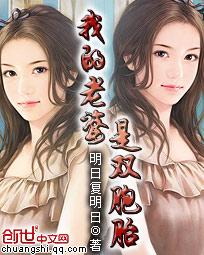 我的老婆是双胞胎原版