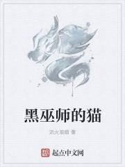 歧路黑巫师皮肤