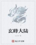 玄峰是什么意思