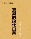 夏梨的现代日常现代日常