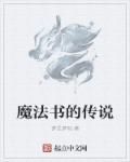 弓箭传说 魔法书