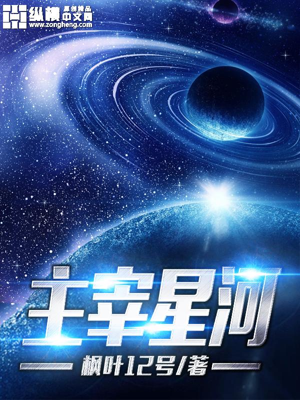 主宰星河TXT资源