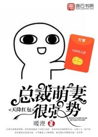 天降萌宝总裁老公轻轻宠