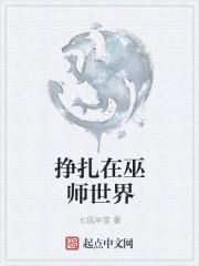 挣扎在巫师世界里