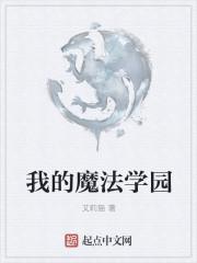 我的魔法精彩音乐汇