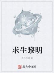 黎明生存小游戏