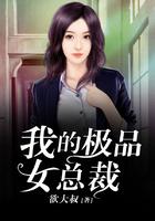 我的极品女总裁全文阅读