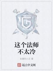 这个法师有点冷