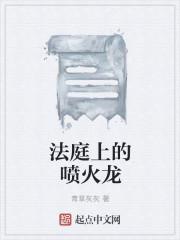 喷火龙是什么动画片