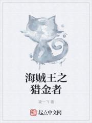 海贼王之猎人时代