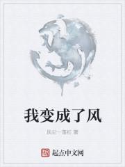 我变成了风400字