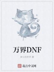 万界DNF战斗法师