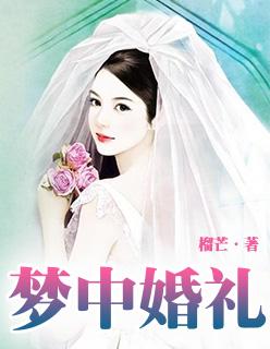 梦中的婚礼歌曲