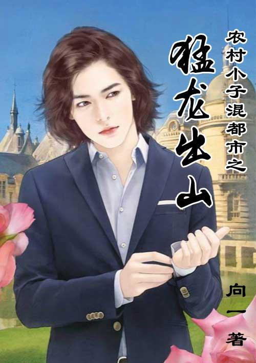 混世小农民混都市黄小龙