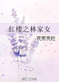 红楼之林家女夜雨凭栏 无防盗