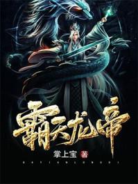 霸天龙帝无邪公子