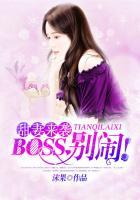 boss别闹叶朔