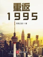 重返1995笔趣阁