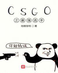 csgo之最强选手zip