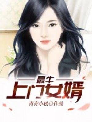 超级上门女婿免费