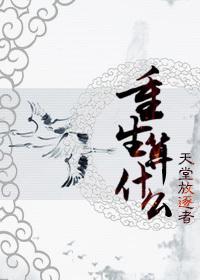 重生算什么 剧透