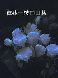 葬我一枝白山茶是男男吗