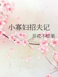 小寡妇招夫记免费阅读全文