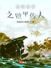 全职法师之铠甲传人14