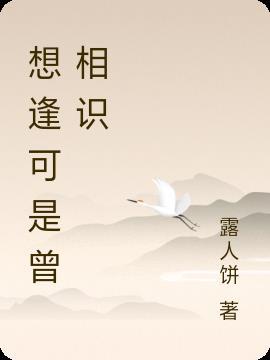 相逢却似曾相识的意思是什么