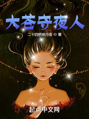 大苍守夜人境界