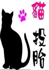 猫头胎一般生几只小猫