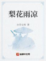 梨花雨凉一半春休难回首后续完结