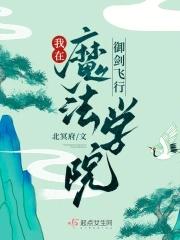 我在魔法学院任教的日子