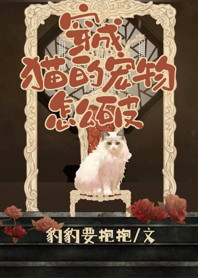 人类变成猫的宠物的动漫