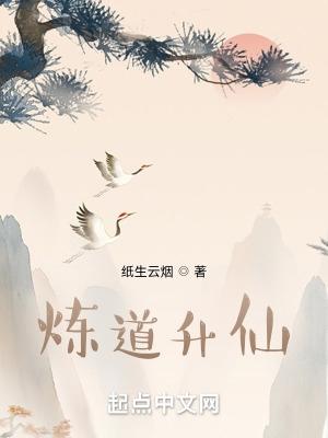 炼道升仙无错版