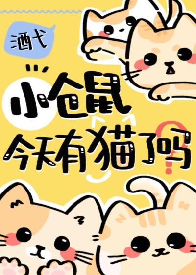 小仓鼠今天有猫了吗视频