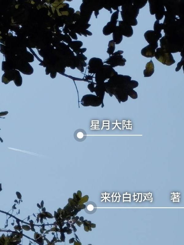 星月大陆搬砖