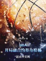 nba开局融合约基奇模板笔趣阁