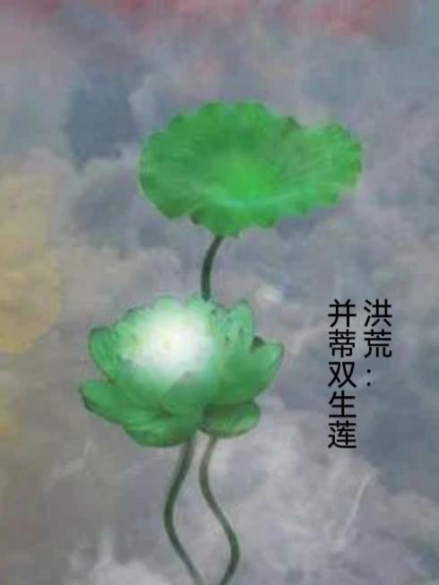 洪荒并蒂双生莲的TXT