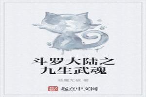 斗罗大陆之我有九生武魂