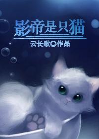 影帝是只猫txt