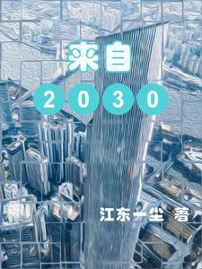 来自2030年的未来人