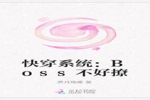 快穿系统BOSS来袭