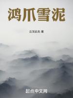 雪泥鸿爪下一句