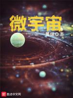 微宇宙电器有限公司